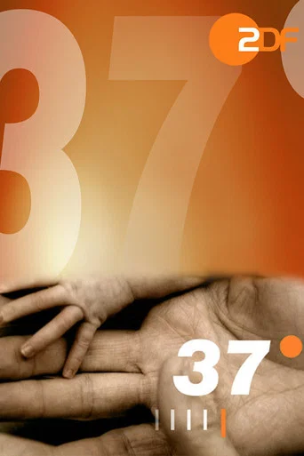 Постер фильма «37 Grad»
