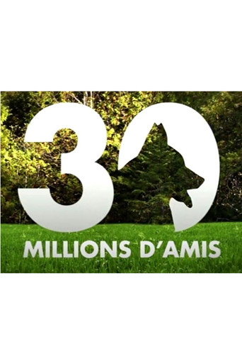 Постер фильма «30 millions d'amis»