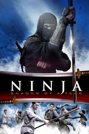 Постер фильма «Ниндзя 2»