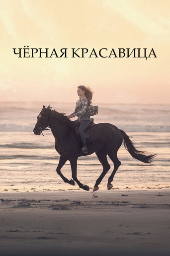 Постер фильма «Чёрная красавица»