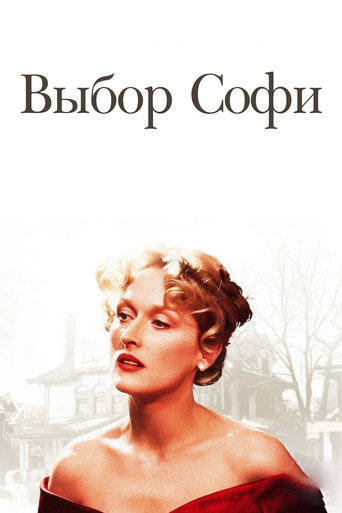 Постер фильма «Выбор Софи»