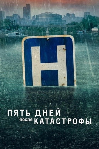 Постер фильма «Пять дней после катастрофы»