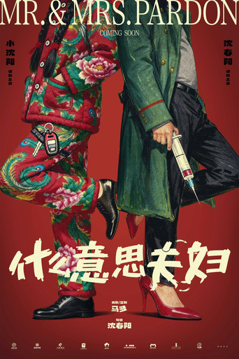 Постер фильма «什么意思夫妇»