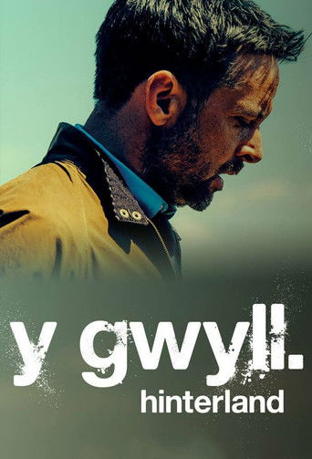Постер фильма «Y Gwyll»