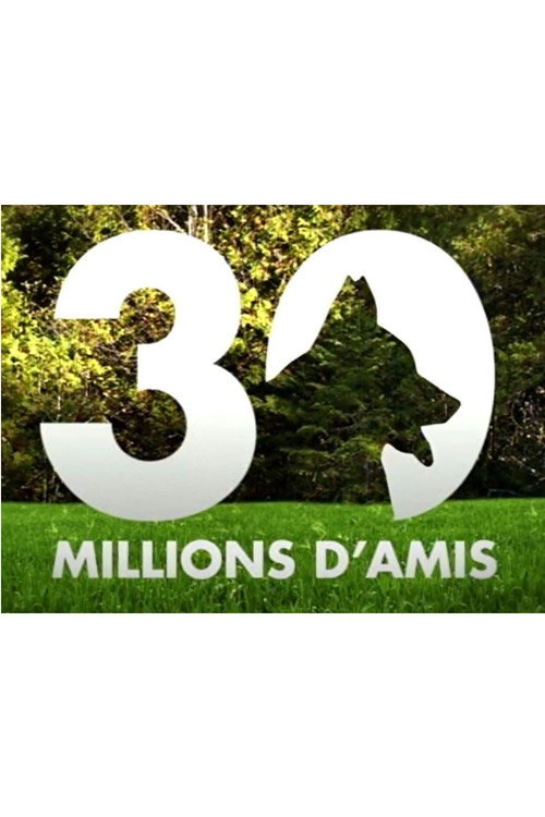 Постер: 30 millions d'amis