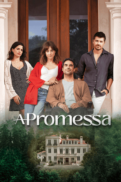 Постер: A Promessa