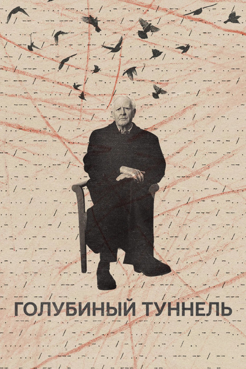 Постер: Голубиный туннель