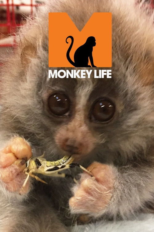 Постер: Monkey Life