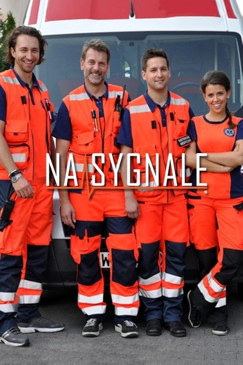 Постер: Na sygnale