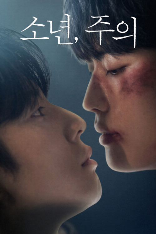 Постер: 소년, 주의