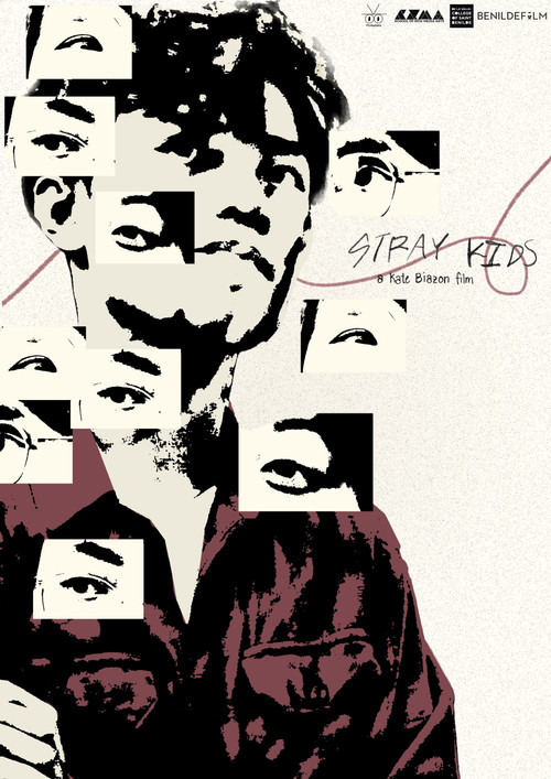 Постер: Stray Kids