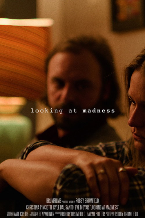 Постер: Looking at Madness