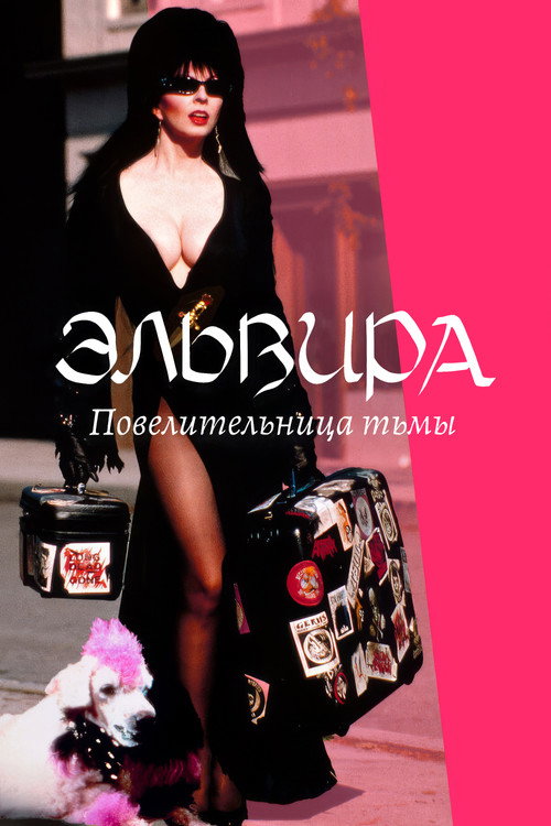 Постер: Эльвира: Повелительница тьмы